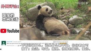 熊猫啤酒爆料是真的吗视频,真相究竟如何？  第3张