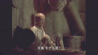 监禁逃亡1992z在线观看,在线重温经典逃狱冒险  第2张